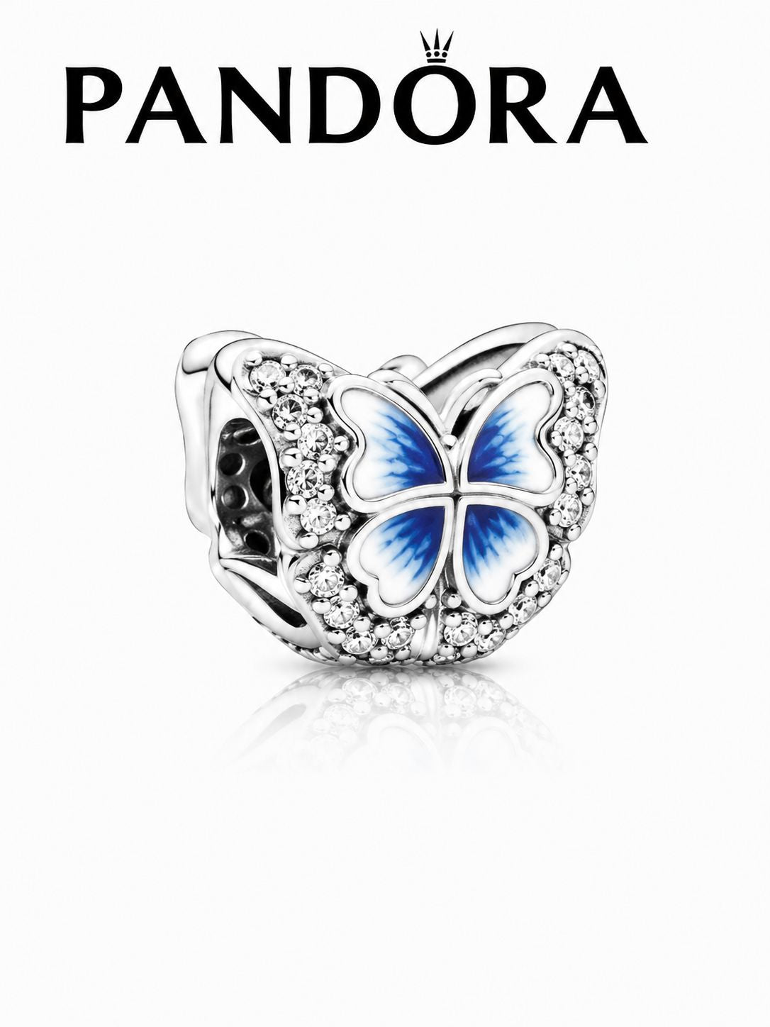 Silver pandora 19