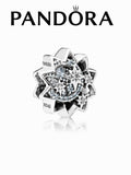 Silver pandora 14